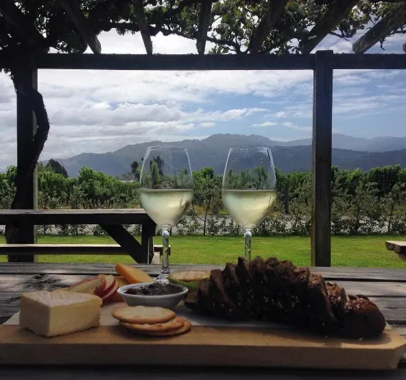 Wine glasses new zealand